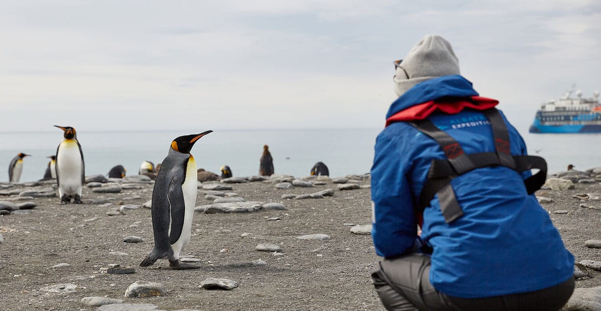 Person in cold-weather gear standing near a group of penguins on a snowy landscape, representing ASU’s global classroom and field research in remote environments.