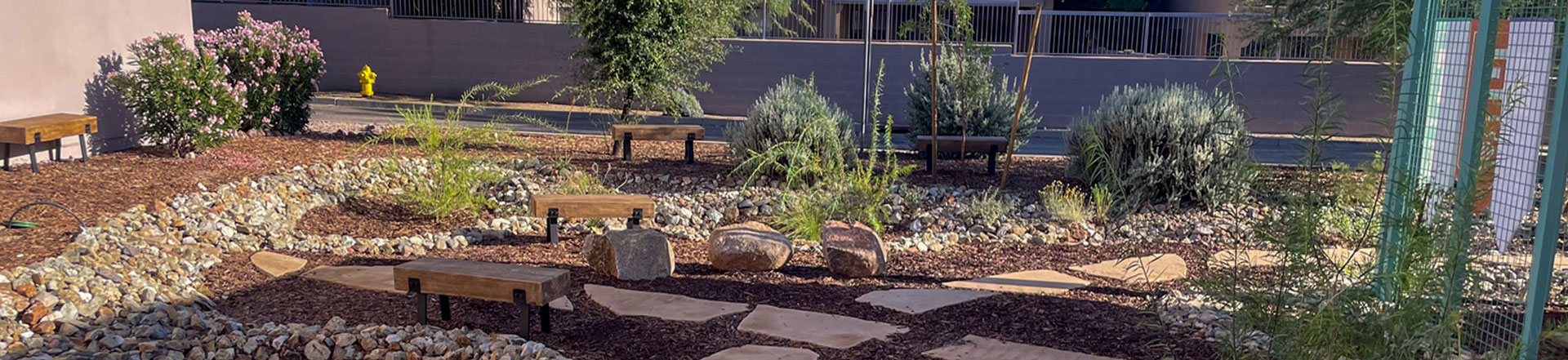 School garden with stone pathways, benches, and desert plants, representing outdoor learning and sustainability.